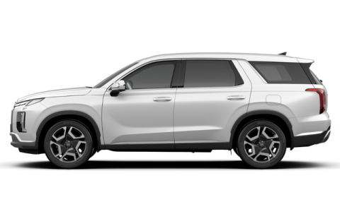 Palisade 2.2 Diesel AWD Elite