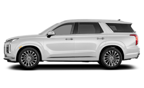 Palisade 2.2 Diesel AWD Calligraphy